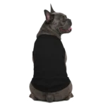 Rückenansicht des Hunde-Shirts mit Druckfläche entlang des Rückens