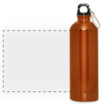 Panorama Trinkflasche 750 ml aus recyceltem Edelstahl mit Karabinerhaken in Metallic-Optik, Frontansicht